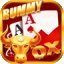 rummy best 51 logo